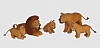 set: Lion-family (Type 2)