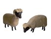 Moorland sheep, 7,5 cm - 11,5 cm (Type 2)