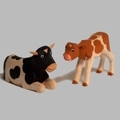 oxen, cows and calves